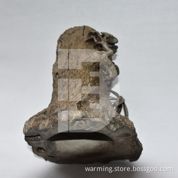 Stone tree root pen container